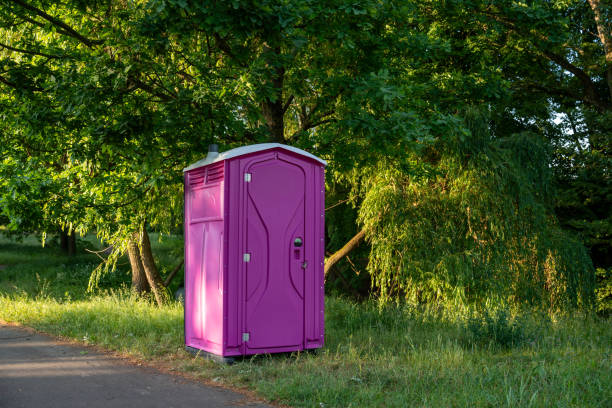 Best Porta potty rental for parties  in Brice Prairie, WI